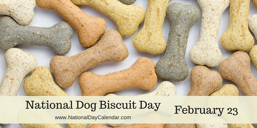 Dog Gone Amazing Celebrates National Dog Biscuit Day