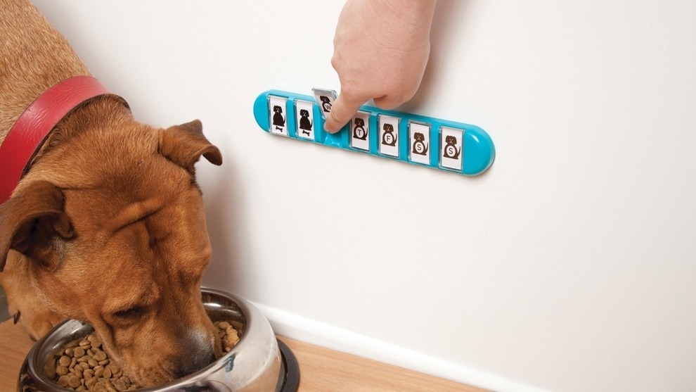 3 Fun Dog Products Available in 2015 (Something Creative for Every Doggie and Doggie Owner)