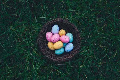 Easter, Eggs, Chocolate and More. What If My Dog Eats Hard-boiled Easter Eggs? What if My Dog Swallows Easter Chocolate?