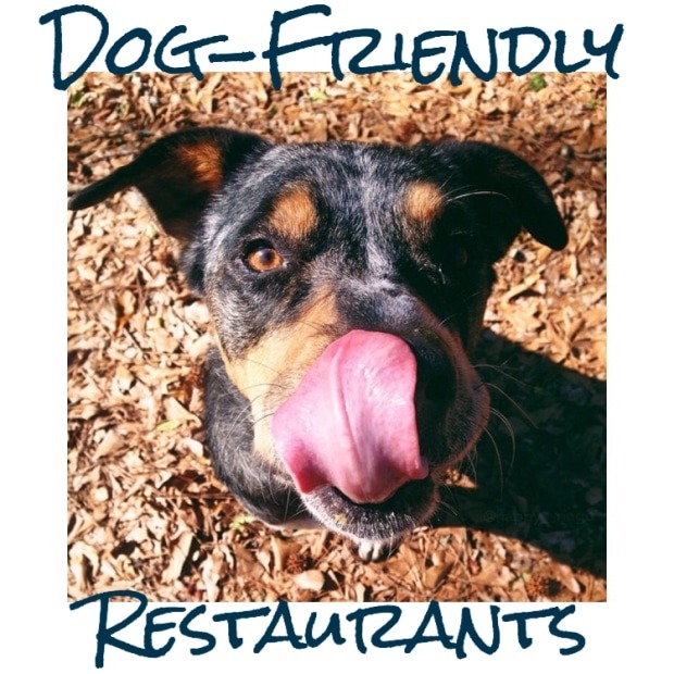 Local Eats: Dog-Friendly Restaurants in Reno