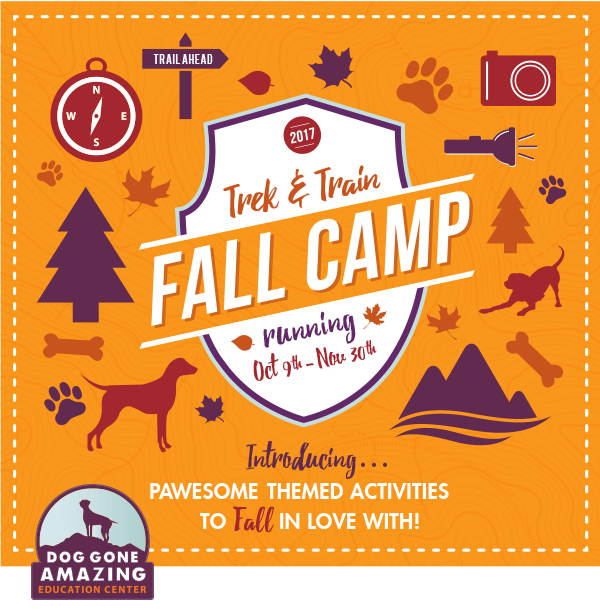 Doggy Day Camp – Fall 2017
