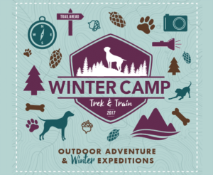 winter-doggy-day-camp