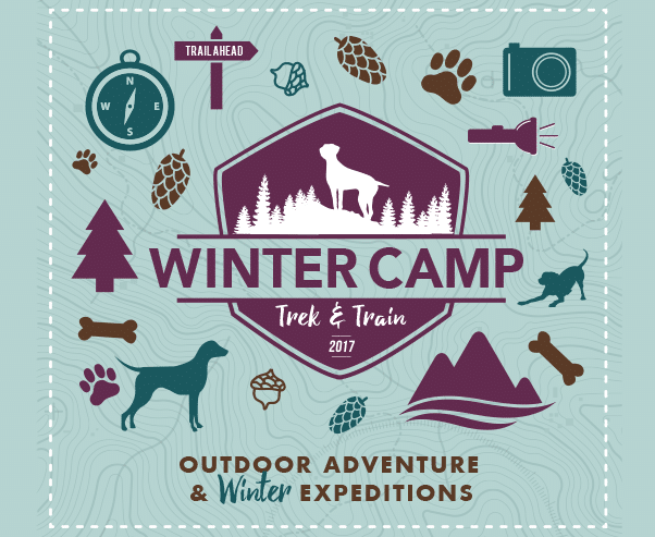 Doggy Day Camp – Winter 2017
