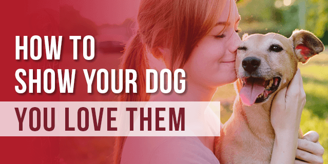 How to Show Your Dog You Love Them