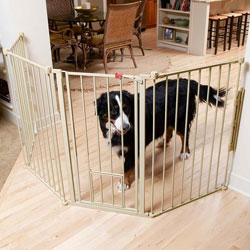 pandemic puppy gate