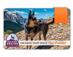 gifts for dog lovers gift card