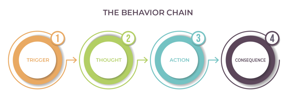 the dog behavior chain