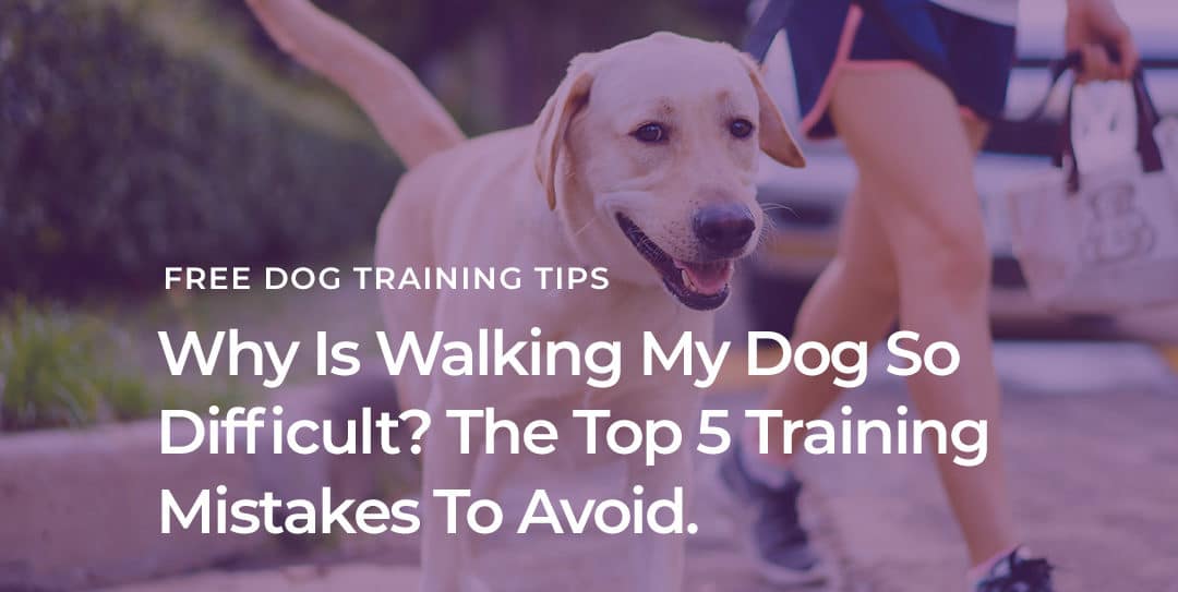 Why is Walking My Dog So Difficult?