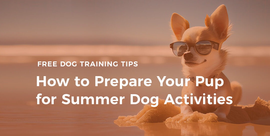 How to Prepare Your Pup for Summer Dog Activities
