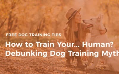How to Train Your… Human? Debunking Dog Training Myths