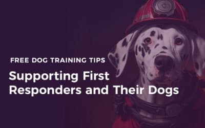 Supporting First Responders & Their Dogs