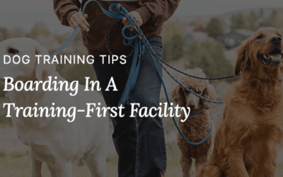 Boarding In A Training-First Community