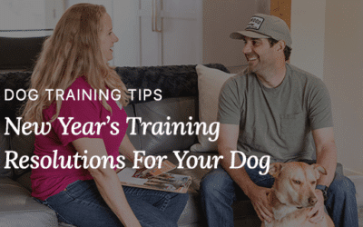 New Years Resolutions For Your Dog – Dog Training Service